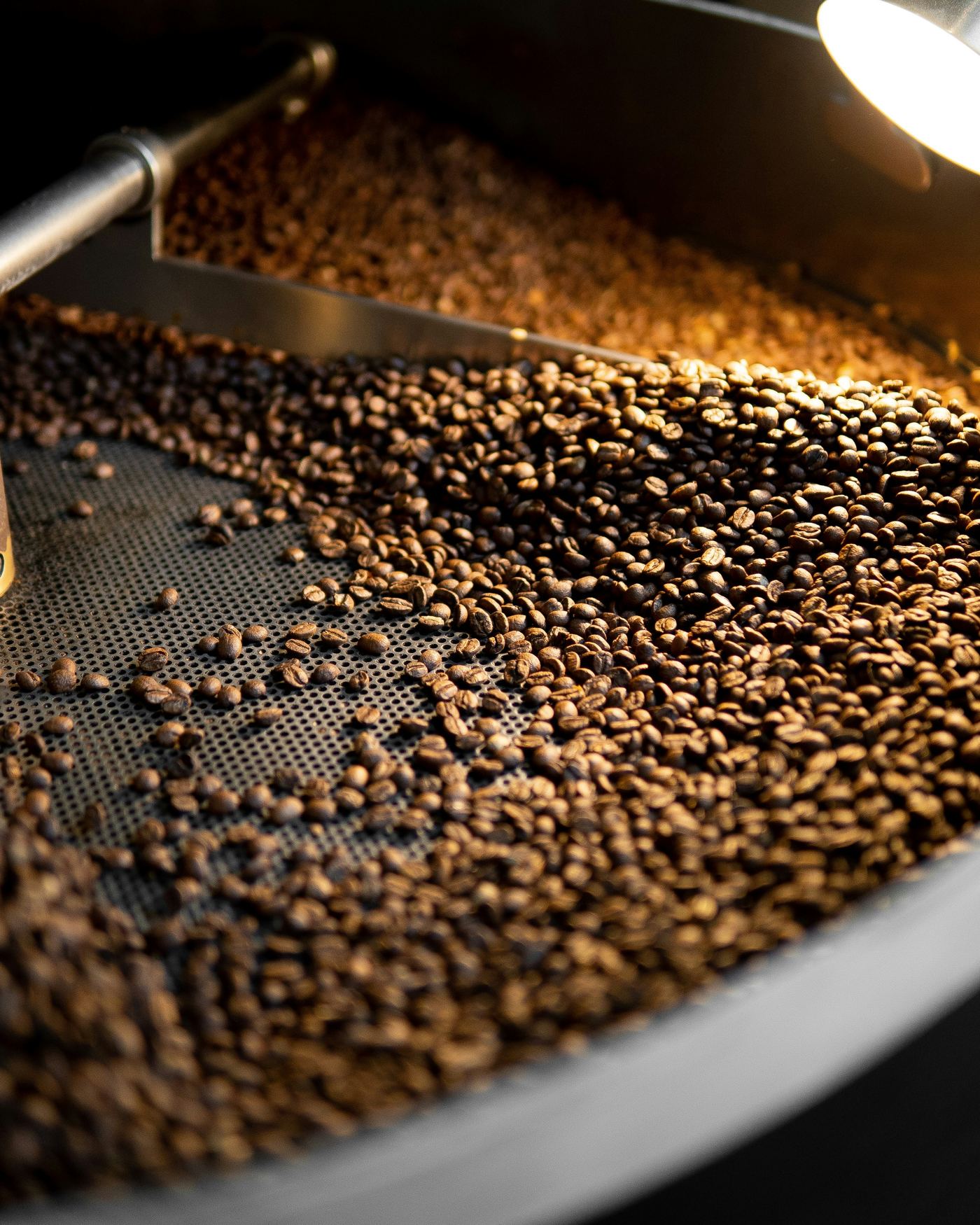 Freshly roasted coffee beans cooling in a roaster's cooling tray, warm light spilling across them