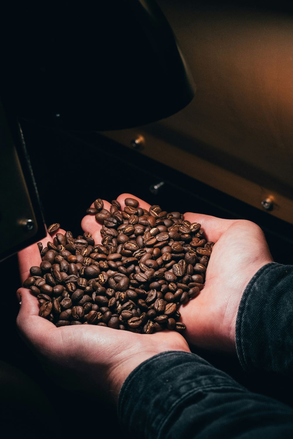 Two hands cupping a handful of freshly roasted coffee beans beside a roaster